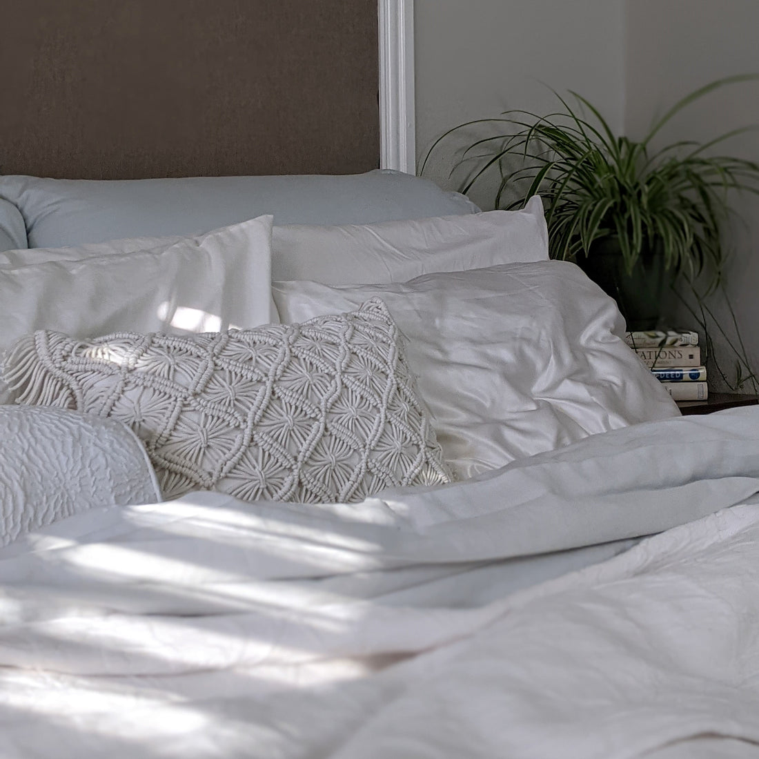 Something About Cotton Bedding