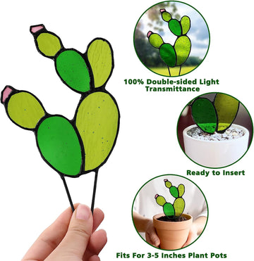 Decor de sticlă de cactus cu vitralii cu plante suculente