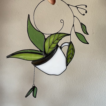 Suncatcher pentru plante suspendate pentru fereastră 