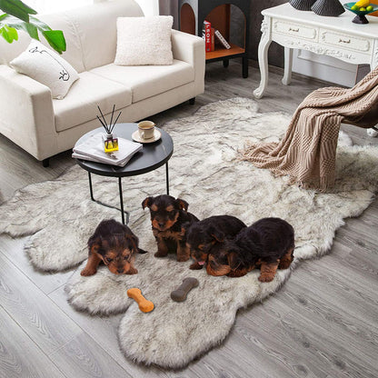 Soft Fluffy Rugs Bedroom Floor Mat Carpet for Living Room